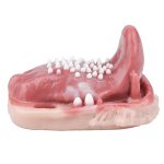 Fantasy Tongue Grinding Vibrator - Image 11