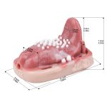 Fantasy Tongue Grinding Vibrator - Image 2