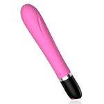 Polly Silicone Traditional Vibrator - Image 2