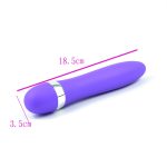 Traditional Vibrator - Bullet - Image 3