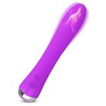 Nicola Heating Vibrator - Image 7