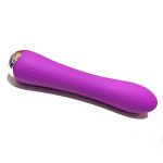 Nicola Heating Vibrator - Image 2