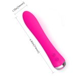 Nicola Heating Vibrator - Image 4