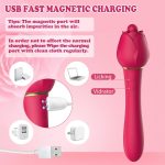 Handheld 2-in-1 Powerful Tongue-licking Vibrator
