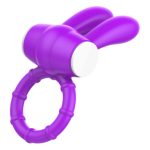 Rabbit Sex Cock Ring - Image 4