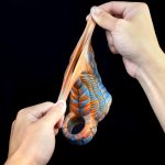 Haughtiness Dragon Head Cock Sleeve - Image 8