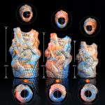 Haughtiness Dragon Soft Silicone Penis Extender - Image 6