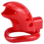 Chastity Cage - Image 6