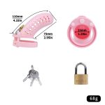 Perforated Plastic Cock Cage - Image 2