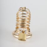 Gold/DarkPink Metal Chastity Cage Device(3 Rings) - Image 3