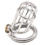 Plum Blossom Chastity Device - Image 6