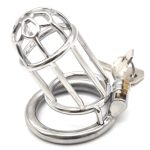 Plum Blossom Chastity Device - Image 8