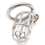 Plum Blossom Chastity Device - Image 2