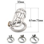 Plum Blossom Chastity Device - Image 4