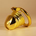 Penis Head Steel Cock Cage - Image 2