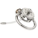 Bolted Chastity Cage With Spikes - Image 6