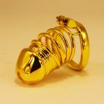 Penis Head Steel Cock Cage - Long - Image 5