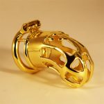 Hollow Out Chastity Cage With Round Ring - Image 3