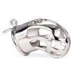 Hollow Out Chastity Cage With Bent Ring - Image 8