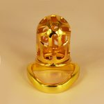 Hollow Out Chastity Cage With Bent Ring - Image 3