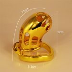 Hollow Out Chastity Cage With Bent Ring - Image 4