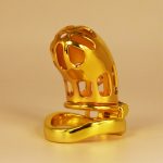 Hollow Out Chastity Cage With Bent Ring - Image 5