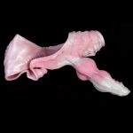 Monster Strap-on Dildo - Image 2