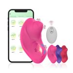 APP Control Wearable Panty G Spot Vibrator - Image 6