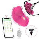 APP Control Wearable Panty G Spot Vibrator - Image 4