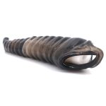 Penis Extender Vibration Cover - C - Image 4