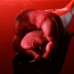 Big Mouth C-spot & G-spot Vibrator