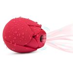 Clit Stimulator Sucker - Image 4