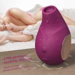 Gentleman Dual Suction  Vibrator - Image 4