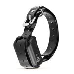 Electric Shock Sex Kit - Image 4