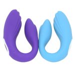 Swan Couple Vibe - Image 4