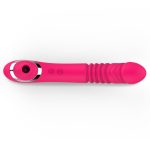 Thrusting & Suction Vibrator - Image 2