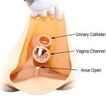 Butt Lift Fake Vagina Pants with Navel - Image 3