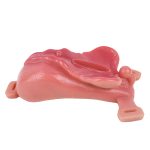 Sissy Chastity Toy with Belt - Image 9