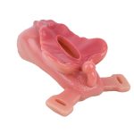 Sissy Chastity Toy with Belt - Image 5