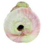 Dual Pleasure Silicone Pocket Pussy - A - Image 2