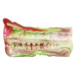 Dual Pleasure Silicone Pocket Pussy - B - Image 10