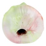 Dual Pleasure Silicone Pocket Pussy - B - Image 12