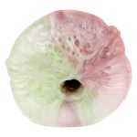 Dual Pleasure Silicone Pocket Pussy - D - Image 11