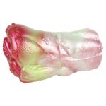 Dual Pleasure Silicone Pocket Pussy - D - Image 4