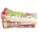 Dual Pleasure Silicone Pocket Pussy - E - Image 10