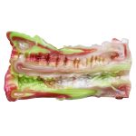 Dual Pleasure Silicone Pocket Pussy - F - Image 9