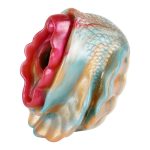 Pocket Silicone Glans Trainer - Mermaid - Image 8