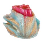 Pocket Silicone Glans Trainer - Mermaid - Image 2