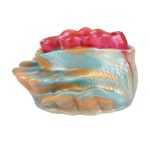 Pocket Silicone Glans Trainer - Mermaid - Image 4