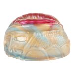 Pocket Silicone Glans Trainer - Fish - Image 10